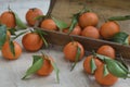 Fresh mandarin oranges fruit or tangerines with leaves on the wooden box on the table. Royalty Free Stock Photo