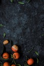 Fresh mandarin oranges with leaves on textured dark background with copy space. Top view. Royalty Free Stock Photo