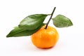 Fresh mandarine with slice and leaf isolated white background Royalty Free Stock Photo