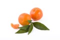 Fresh mandarines isolated on white background. Oranges are arranged in rows. Royalty Free Stock Photo
