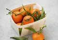Fresh mandarines with leaves in a basket Royalty Free Stock Photo