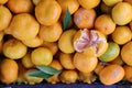 Fresh mandarins background. Royalty Free Stock Photo