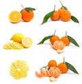 Fresh mandarins, lemons and oranges on white background Royalty Free Stock Photo