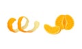 Fresh mandarins set. Peel and slice of ripe tangerine vector illustration