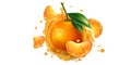 Fresh mandarins and a splash of fruit juice.