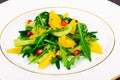 Fresh mango, arugula, kiwi, orange and pomegranate. Royalty Free Stock Photo