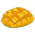 Fresh Mango Chopped Cubes Illustration Vector