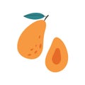 Fresh mango. Exotic and tropical fruit. Healthy food. Vector illustration in flat style