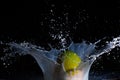 Fresh mango falling into the milk with a splash