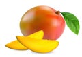 Fresh mango fruit Royalty Free Stock Photo