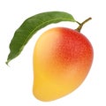 Fresh mango fruit with green leaf and stem white background Royalty Free Stock Photo