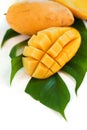 Fresh mango fruit on the white background Royalty Free Stock Photo