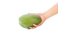 Fresh mango - Green mangoes on woman hands with isolated on whit Royalty Free Stock Photo