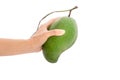 Fresh mango - Green mangoes on woman hands with isolated on whit Royalty Free Stock Photo