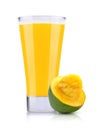 Fresh Mango Juice Royalty Free Stock Photo