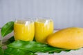 Fresh mango juice glasses and green leaf , tropical summer drink Royalty Free Stock Photo