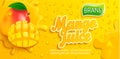 Fresh mango juice splash banner with apteitic drops