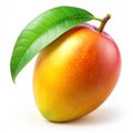 Fresh Mango with Leaf on Isolated White Background Royalty Free Stock Photo