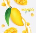 Fresh mango Vector illustration Royalty Free Stock Photo