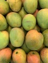 Mango Royalty Free Stock Photo