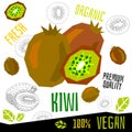 Fresh mango tropical fruits organic vegan food vector hand drawn illustrations Royalty Free Stock Photo