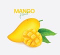 Fresh mango Vector illustration