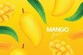 Fresh mango Vector illustration Royalty Free Stock Photo