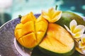 Fresh mango on a wooden tabel with tropical background. Soft focus. Royalty Free Stock Photo