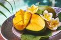 Fresh mango on a wooden tabel with tropical background. Soft focus. Royalty Free Stock Photo