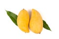 Fresh mangoes on white background