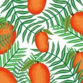 Fresh mangos fruits nature pattern