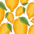 Fresh mangos fruits pattern background