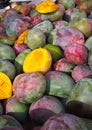 Fresh mangos (Mangifera indica) on a market stall. Background. Royalty Free Stock Photo