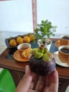 Fresh mangosteen fruit Royalty Free Stock Photo