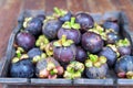 Fresh mangosteen of Thailand, Thai fruit on wood plate Royalty Free Stock Photo