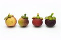 Fresh mangosteen on white background.