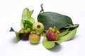 Fresh mangosteen on white background.