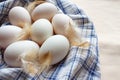 Fresh many duck eggs on Plaid fabric Royalty Free Stock Photo