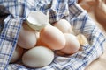 Fresh many duck eggs on Plaid fabric Royalty Free Stock Photo