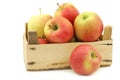 Fresh Maribelle apples in a wooden crate Royalty Free Stock Photo