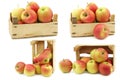 Fresh Maribelle apples in a wooden crate Royalty Free Stock Photo