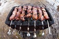 Fresh marinated meat on the grill Royalty Free Stock Photo