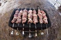 Fresh marinated meat on the grill Royalty Free Stock Photo