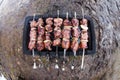Fresh marinated meat on the grill Royalty Free Stock Photo