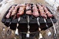Fresh marinated meat on the grill Royalty Free Stock Photo