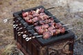 Fresh marinated meat on the grill Royalty Free Stock Photo