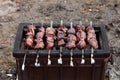 Fresh marinated meat on the grill Royalty Free Stock Photo