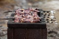 Fresh marinated meat on the grill Royalty Free Stock Photo