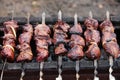 Fresh marinated meat on the grill Royalty Free Stock Photo