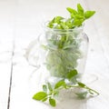 Fresh marjoram Royalty Free Stock Photo